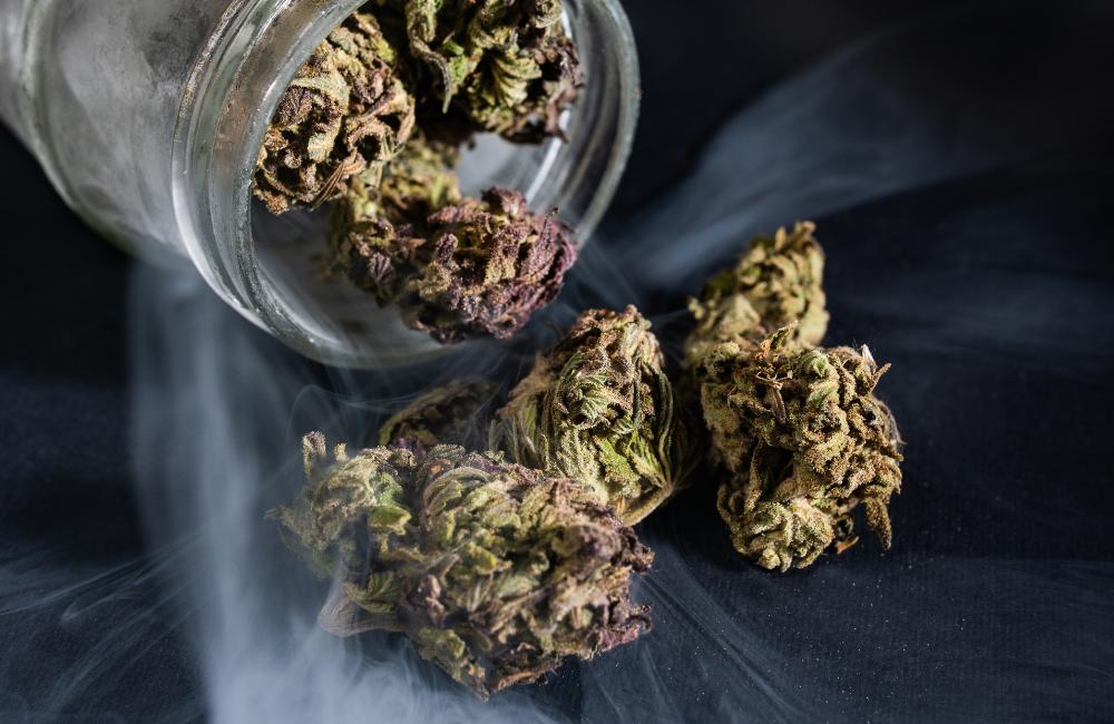 Odor of Marijuana Search