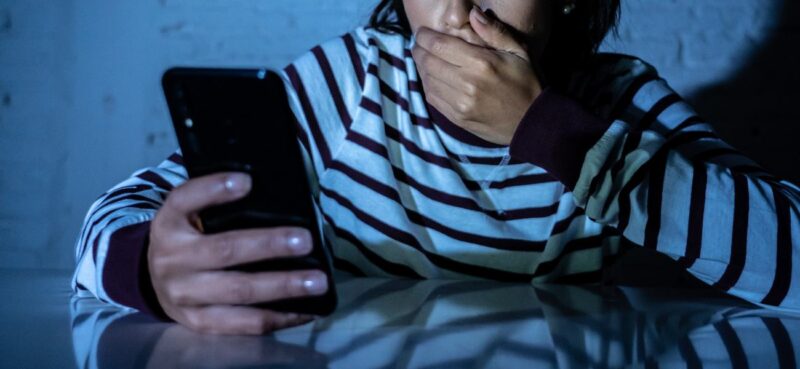 Florida revenge porn law